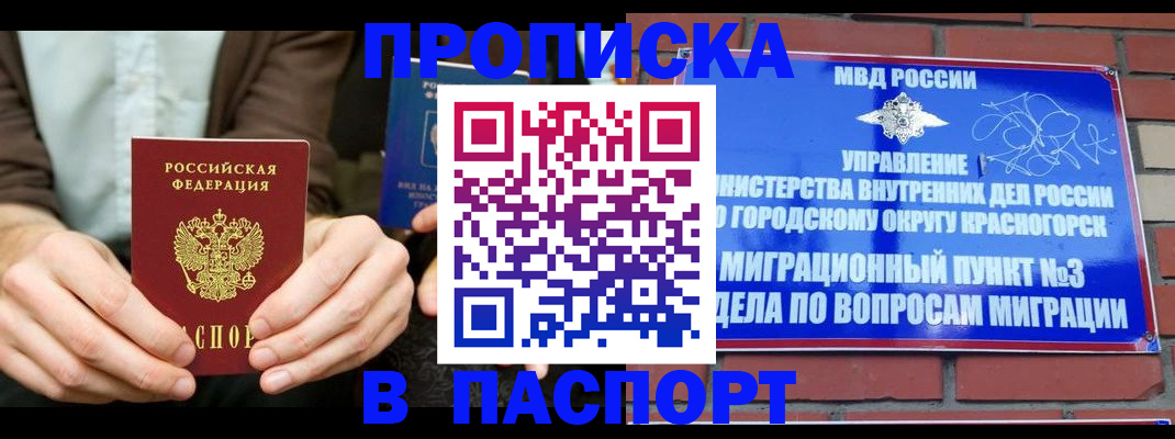 где прописаться в Каргополе